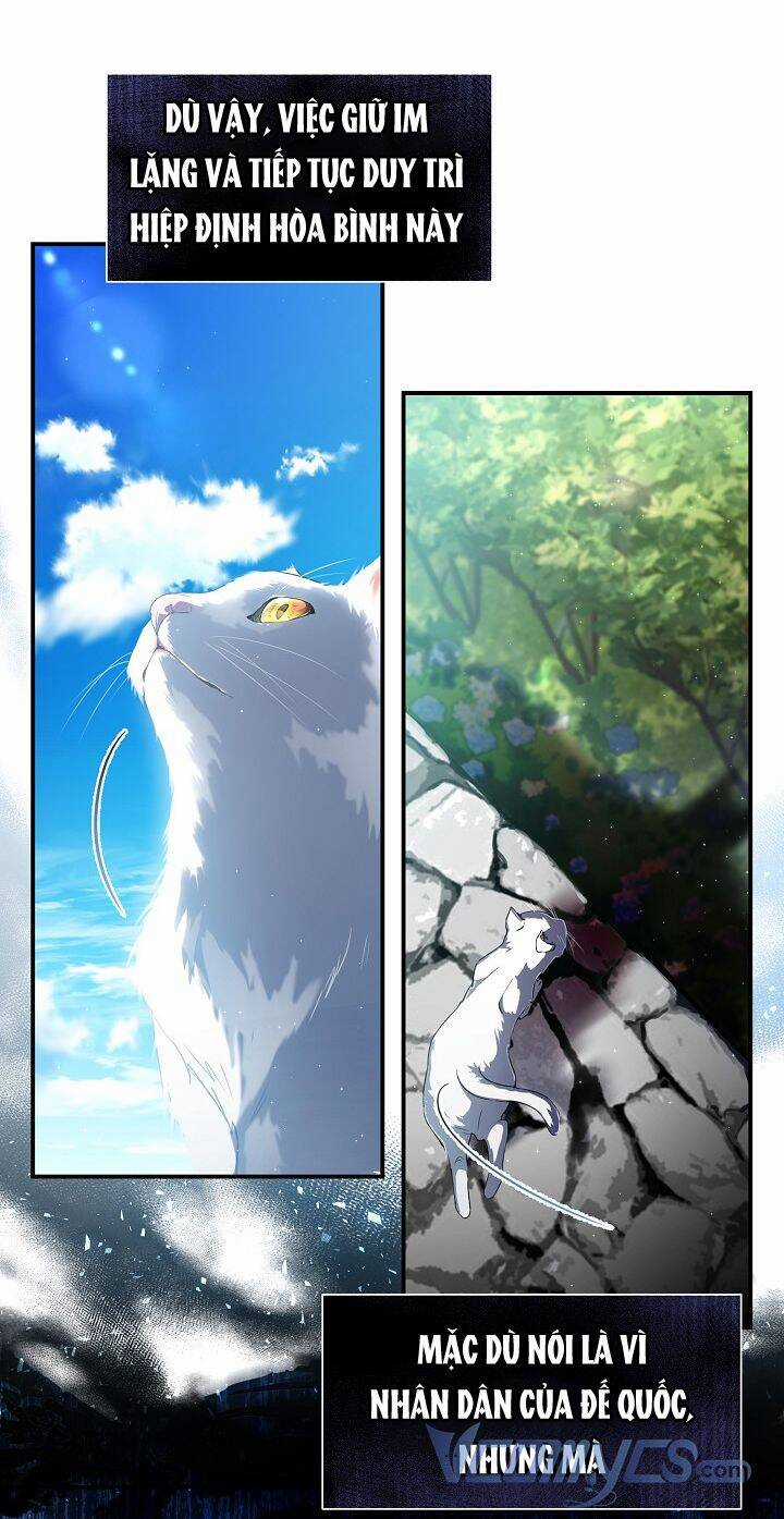 Hướng Về Ánh Dương Lần Nữa Chapter 51 trang 7