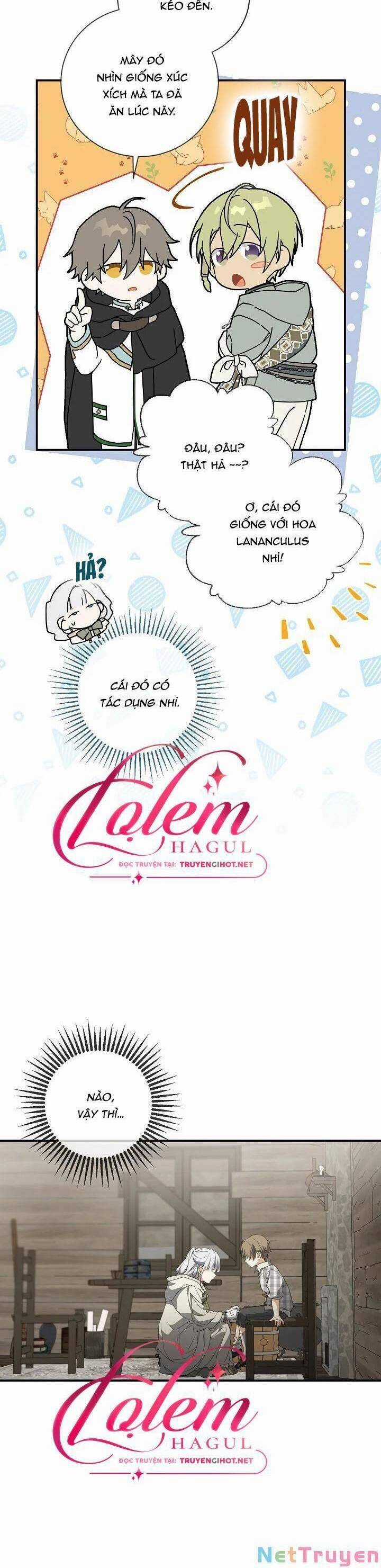 Hướng Về Ánh Dương Lần Nữa Chapter 65 trang 19