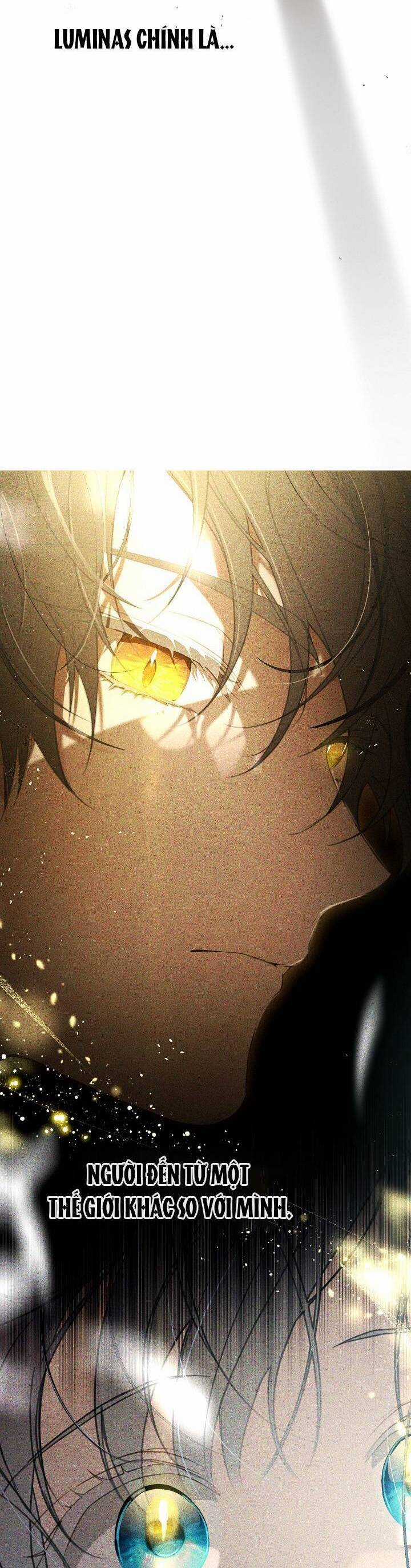 Hướng Về Ánh Dương Lần Nữa Chapter 66 trang 5