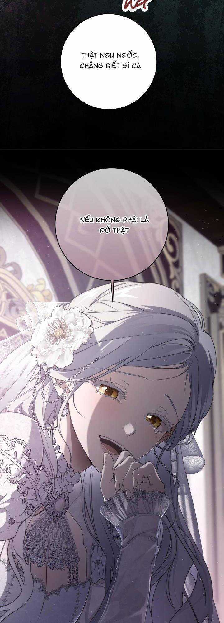 Hướng Về Ánh Dương Lần Nữa Chapter 80 trang 23