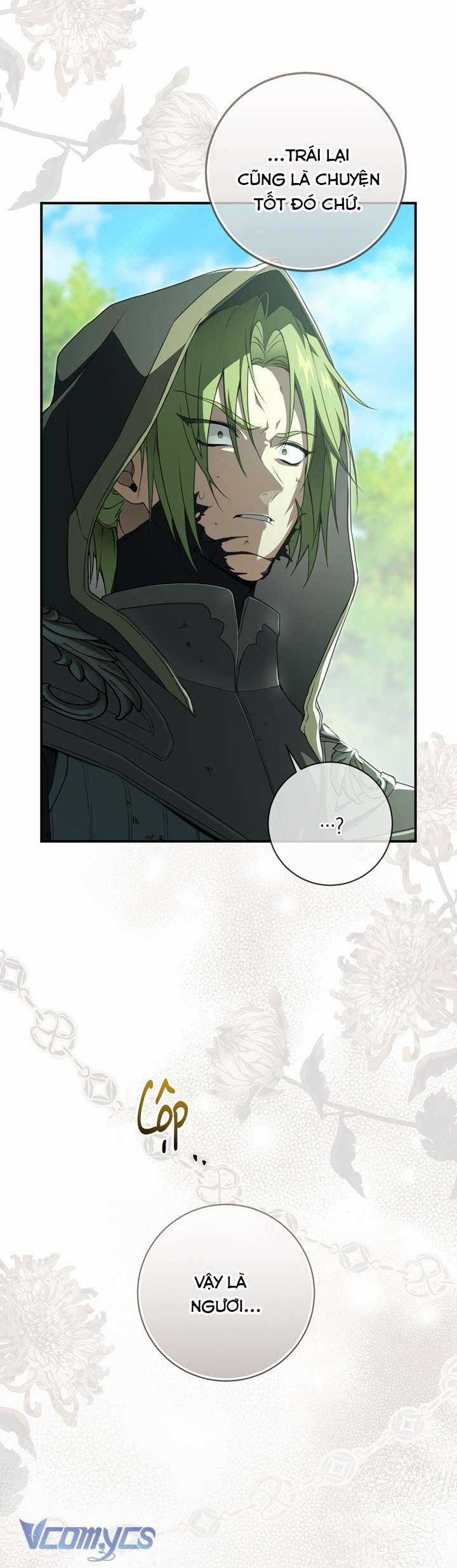 Hướng Về Ánh Dương Lần Nữa Chapter 92 trang 11