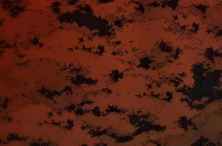 Huyền Thoại Diệt Thế Độc Long Chapter 127 trang 395