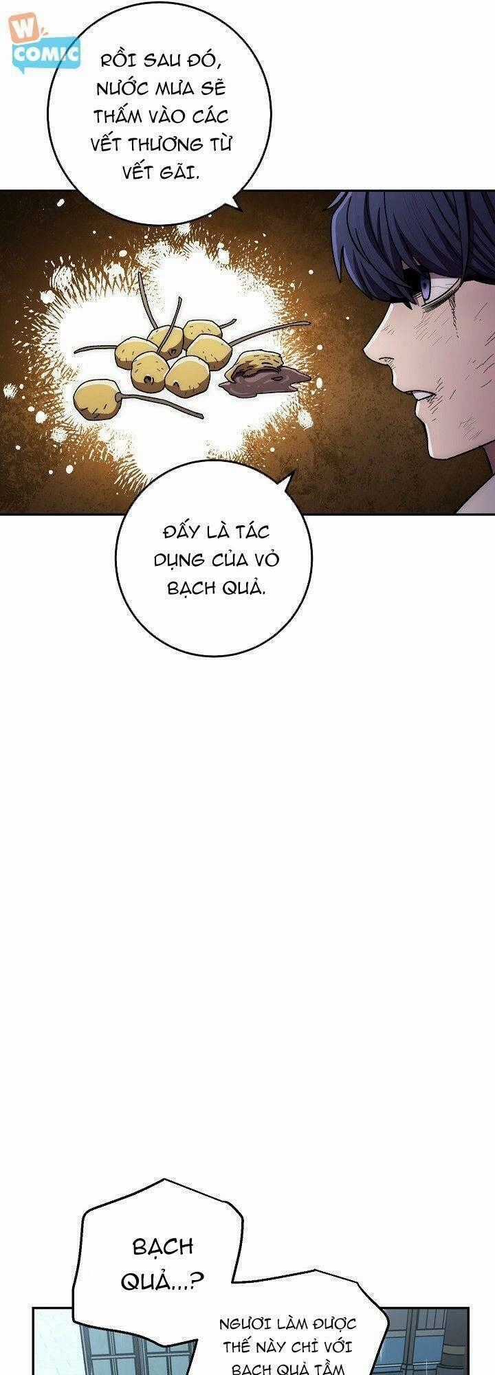 Huyền Thoại Diệt Thế Độc Long Chapter 33 trang 11