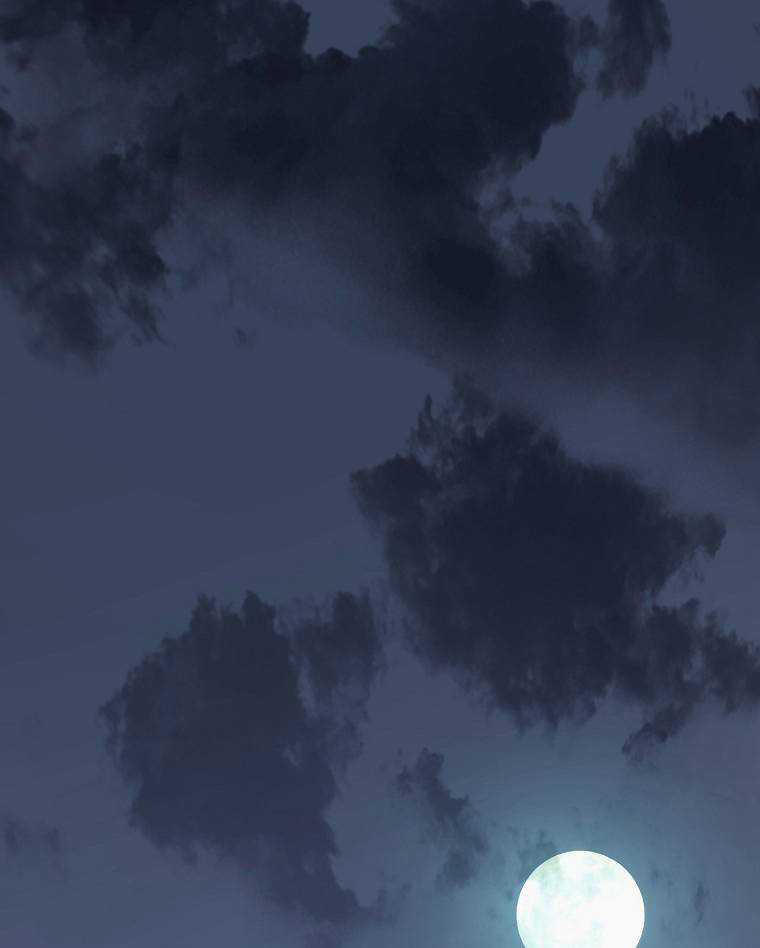 Huyền Thoại Diệt Thế Độc Long Chapter 47 trang 2