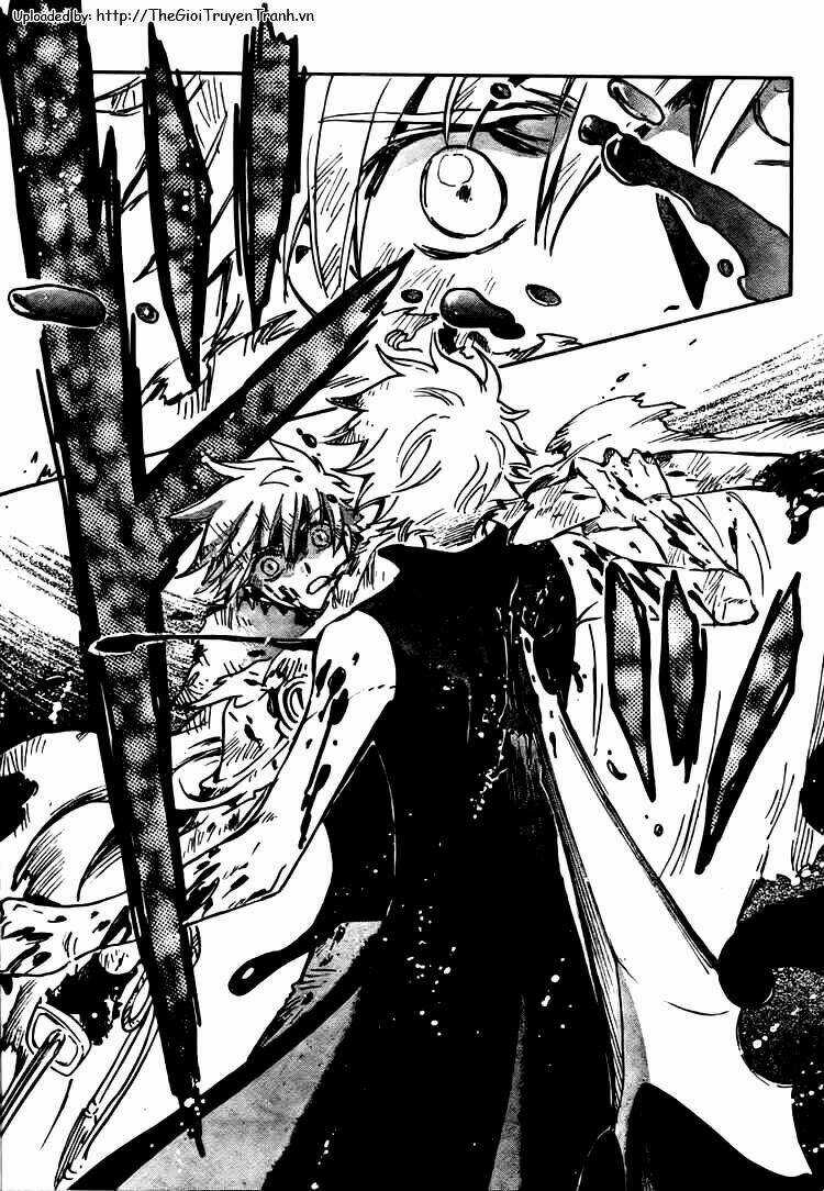 Huyền Thoại Đôi Cánh Chapter 209 trang 12