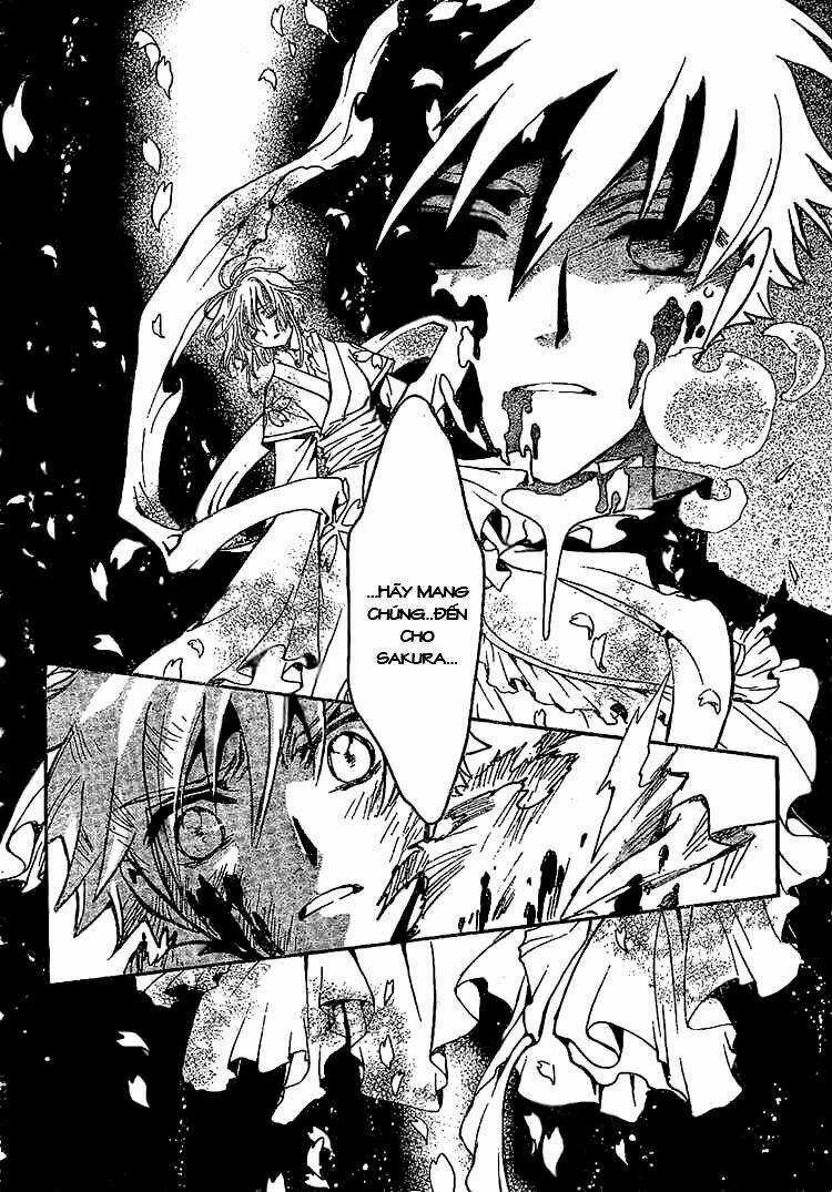 Huyền Thoại Đôi Cánh Chapter 210 trang 10