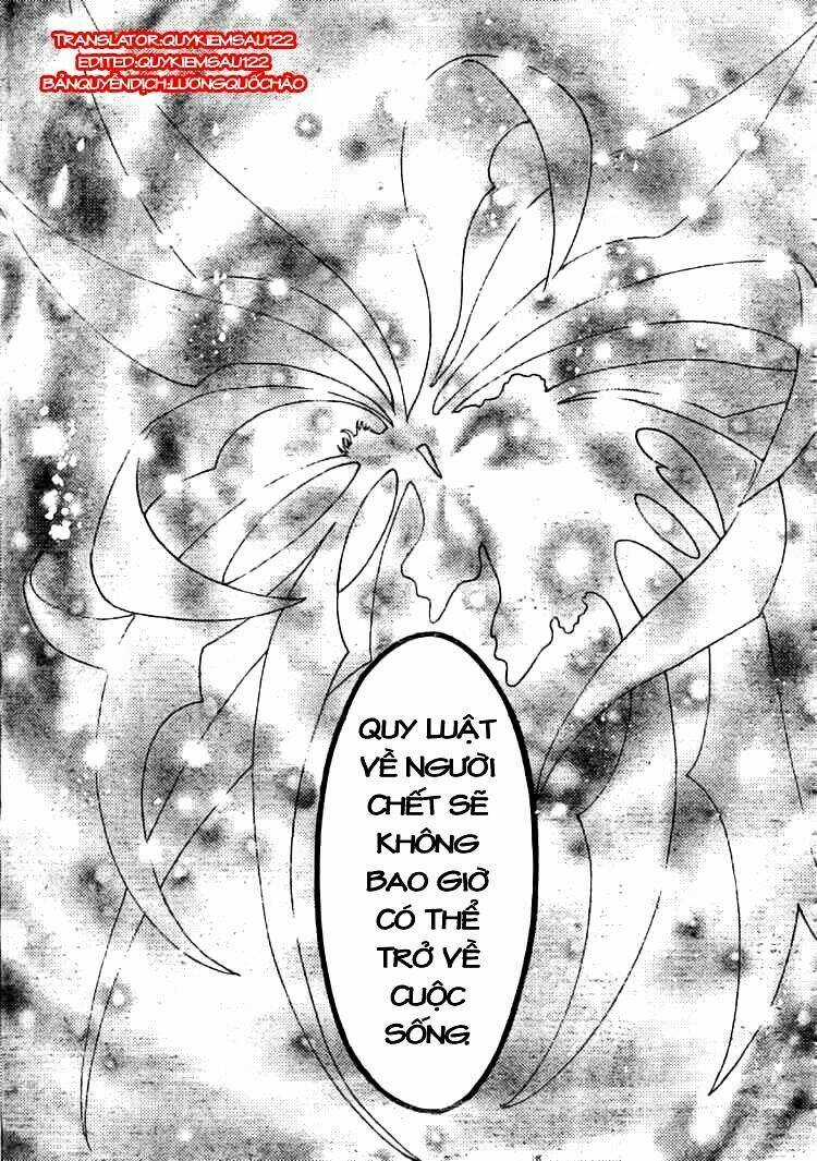 Huyền Thoại Đôi Cánh Chapter 213 trang 12