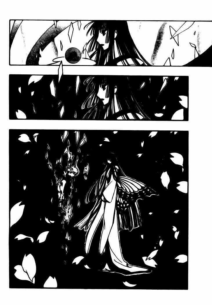 Huyền Thoại Đôi Cánh Chapter 219 trang 12