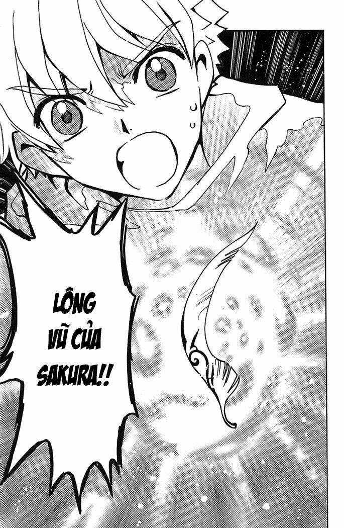 Huyền Thoại Đôi Cánh Chapter 66 trang 6