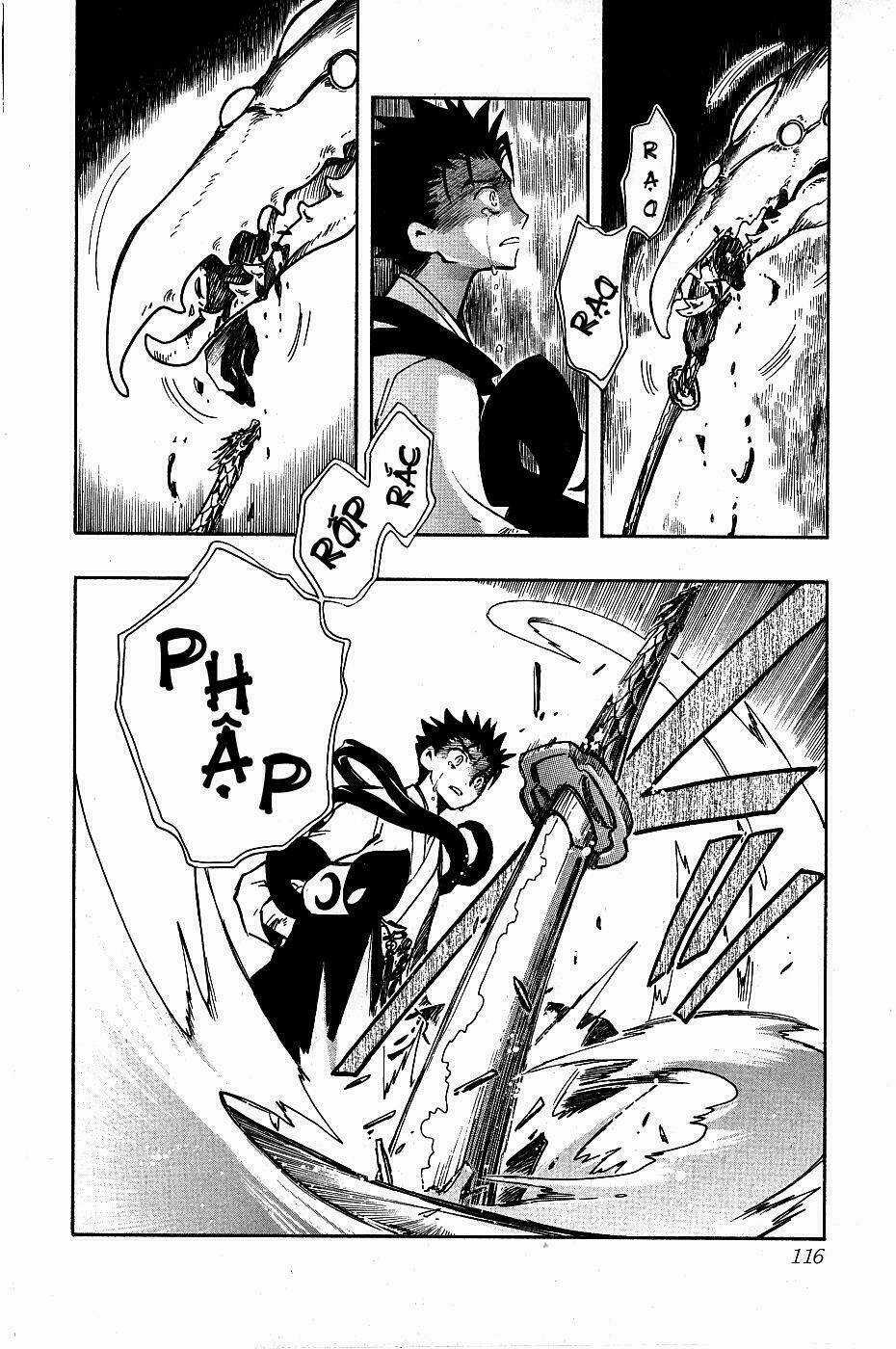 Huyền Thoại Đôi Cánh Chapter 96 trang 13