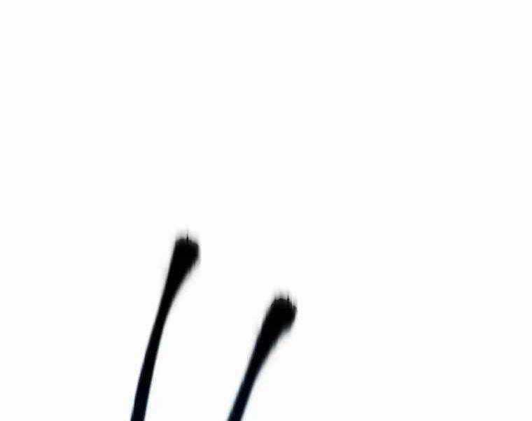 Huyền Thoại Tu La Độc Long Chapter 119 trang 113