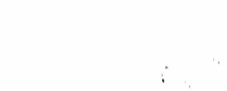 Huyền Thoại Tu La Độc Long Chapter 122 trang 379