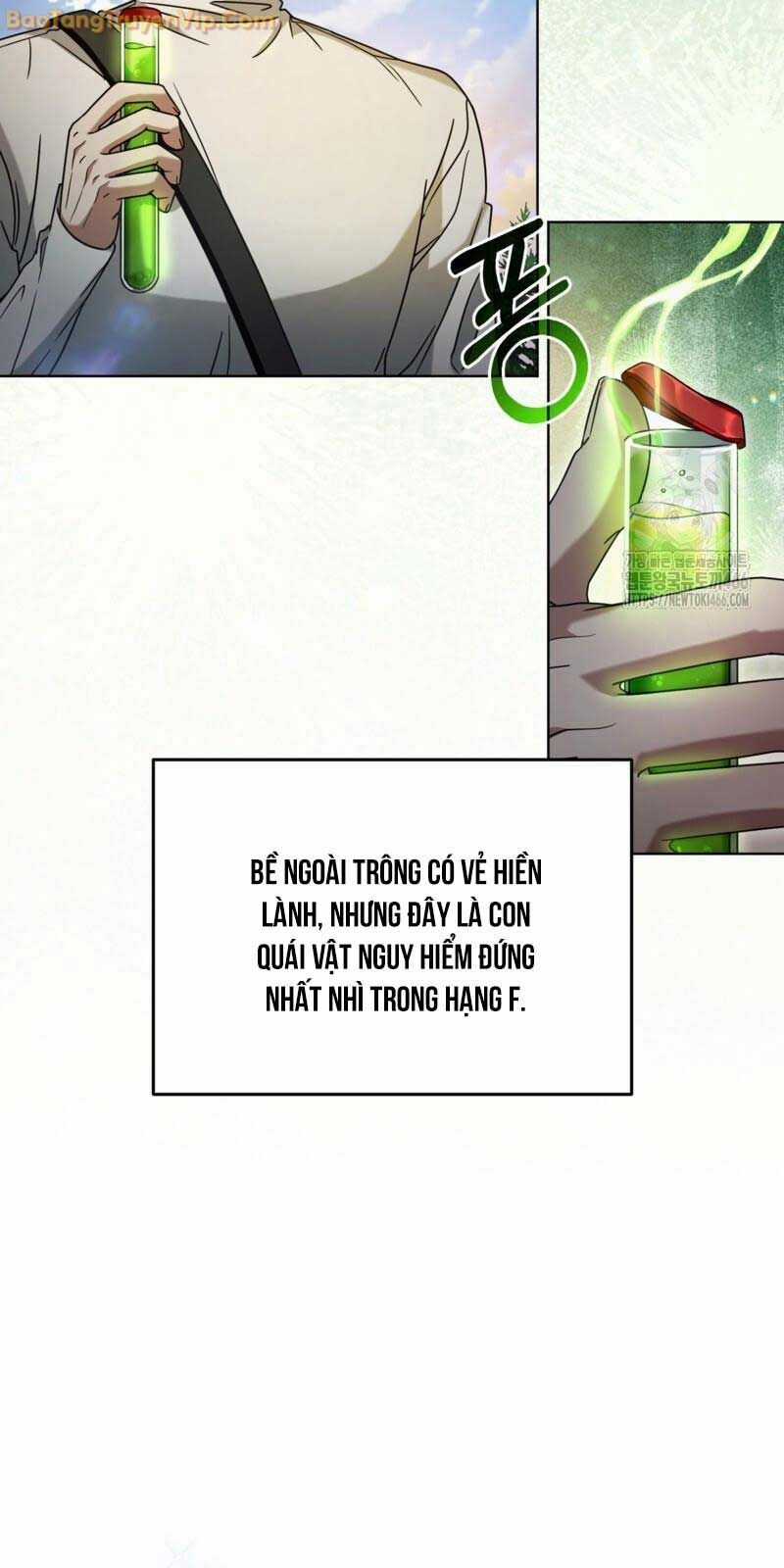 Huyễn Tượng Thợ Săn Tại Dị Giới Chapter 24 trang 8