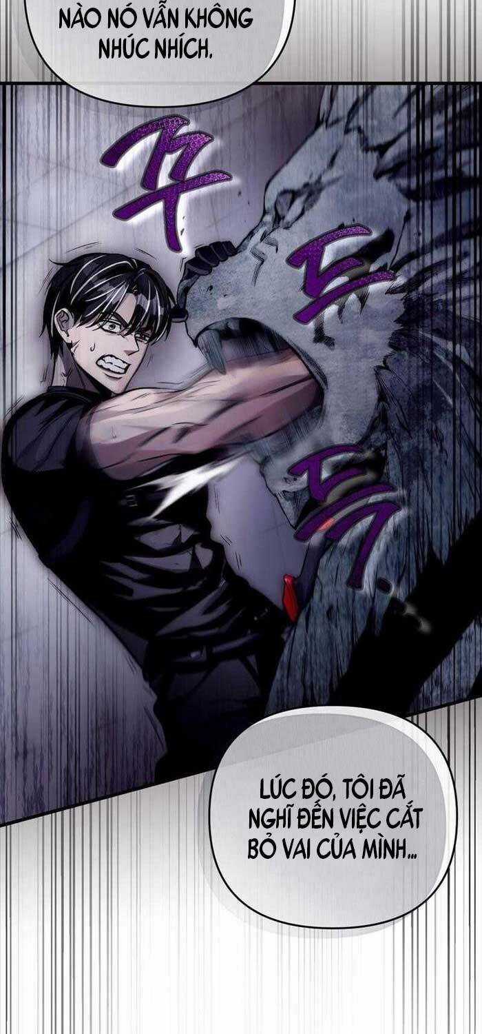 Huyễn Tượng Thợ Săn Tại Dị Giới Chương 11 trang 11