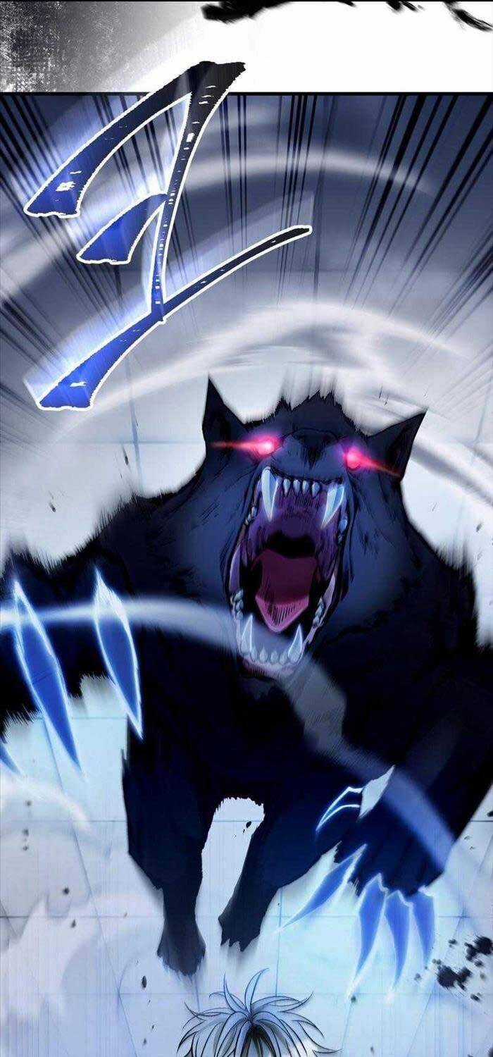 Huyễn Tượng Thợ Săn Tại Dị Giới Chương 11 trang 46