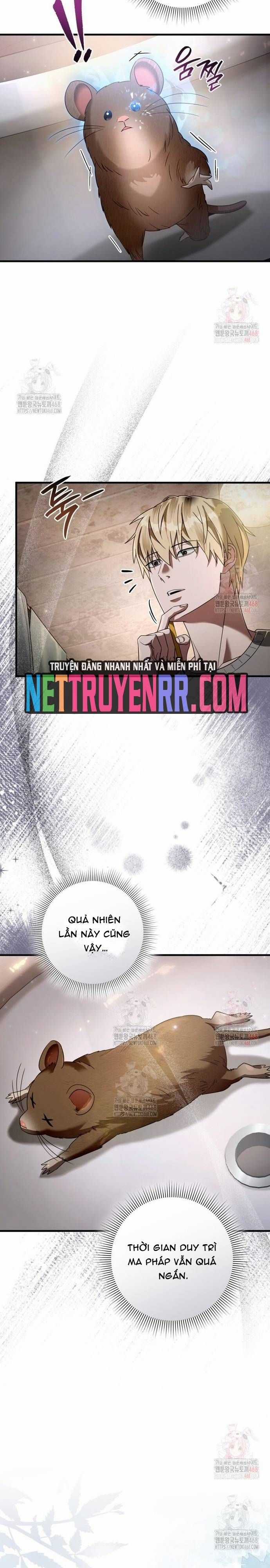 Huyễn Tượng Thợ Săn Tại Dị Giới Chương 45 trang 4