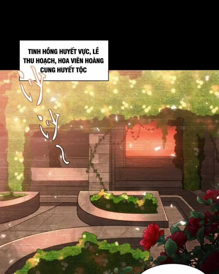 Huyết Cơ Và Kỵ Sĩ Chương 332 trang 65