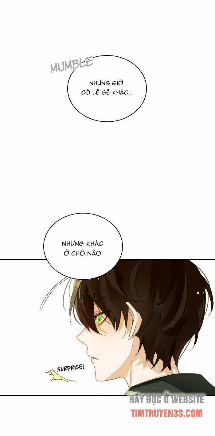 Huyết Nghiệp Kị Sĩ Chuyển Sinh Chapter 14 trang 3