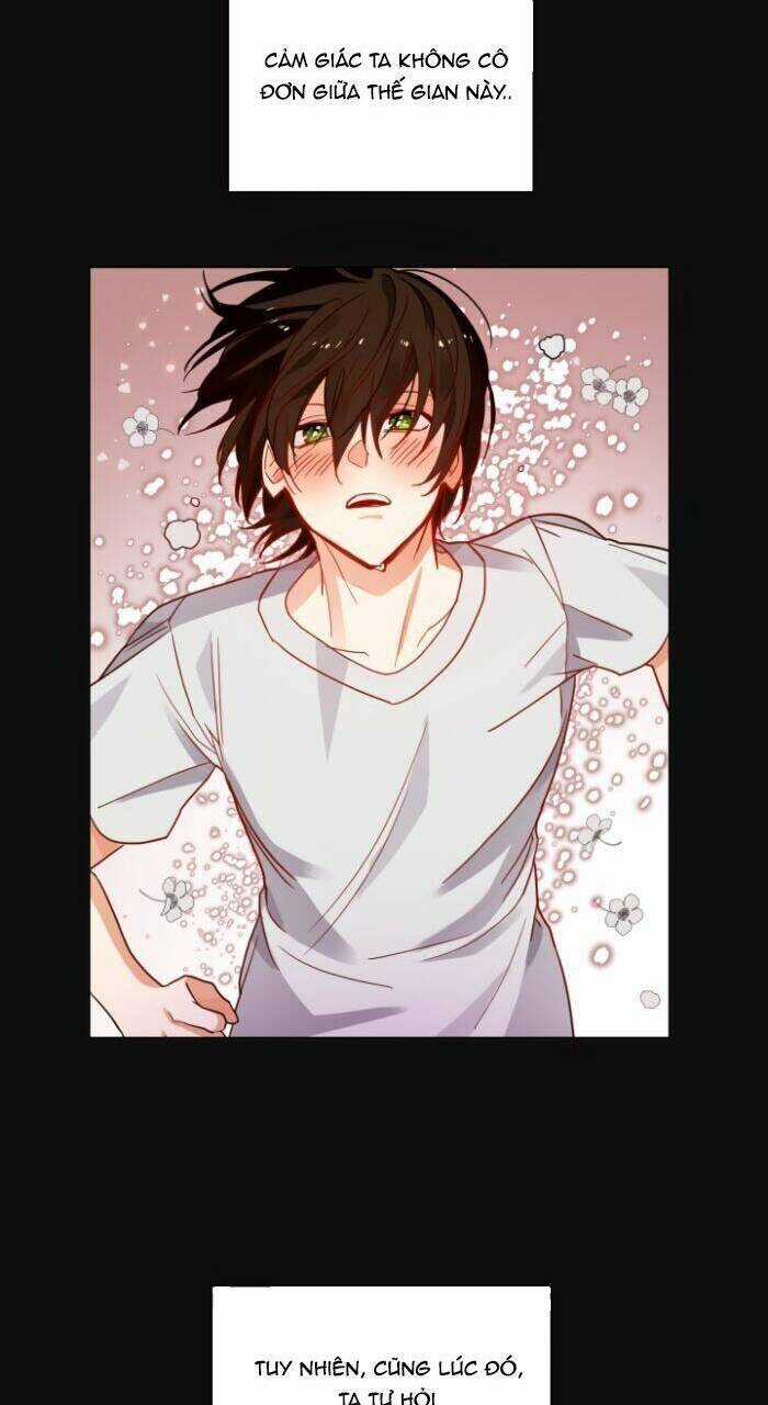 Huyết Nghiệp Kị Sĩ Chuyển Sinh Chapter 56 trang 13