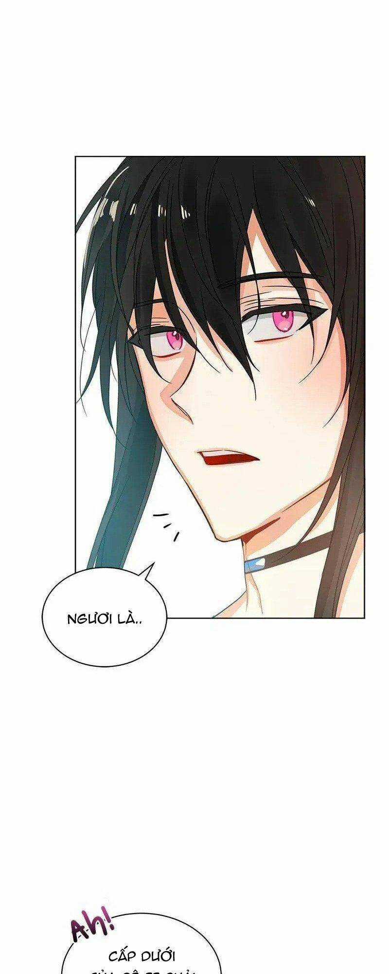 Huyết Nghiệp Kị Sĩ Chuyển Sinh Chapter 74 trang 28