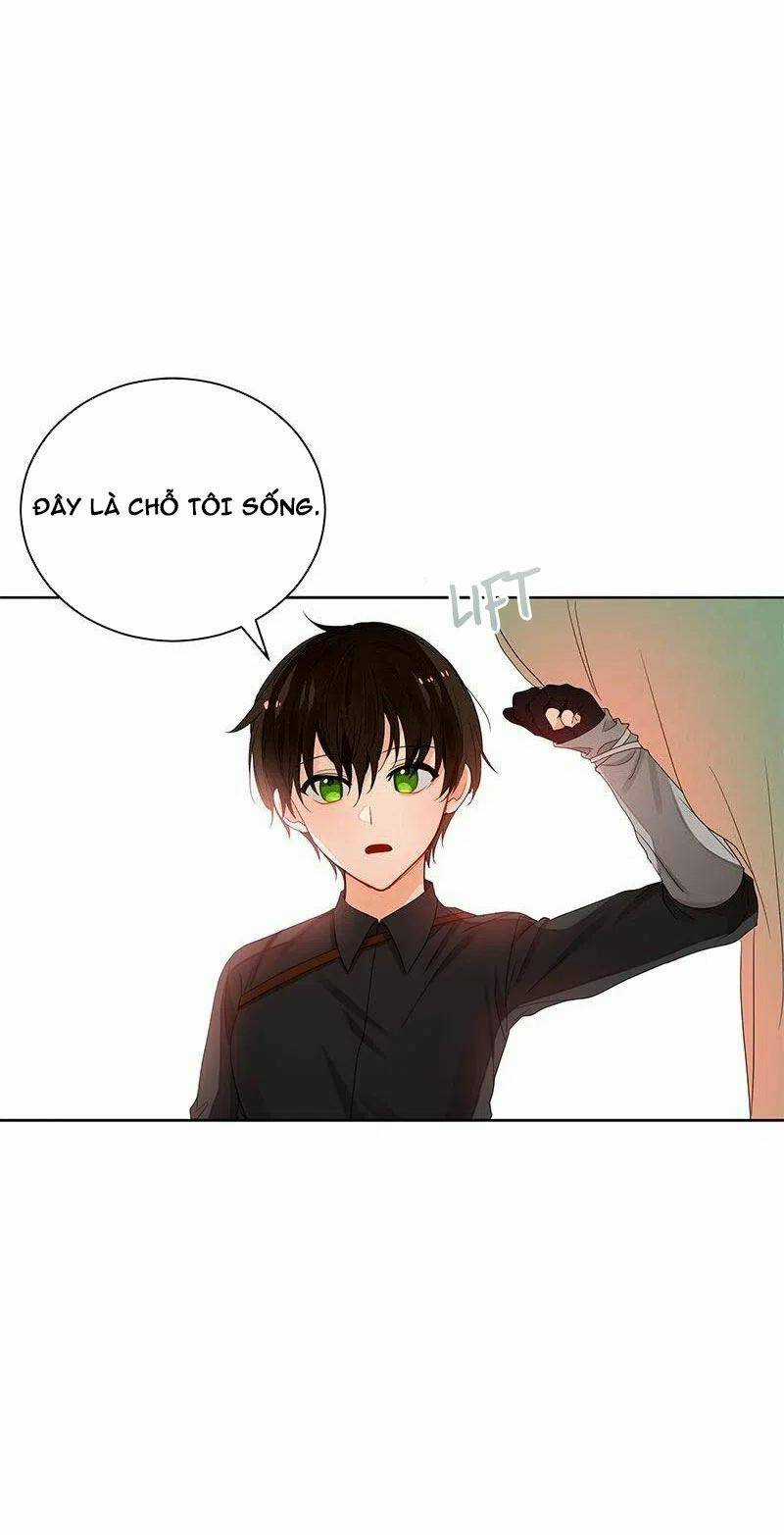 Huyết Nghiệp Kị Sĩ Chuyển Sinh Chapter 76 trang 25