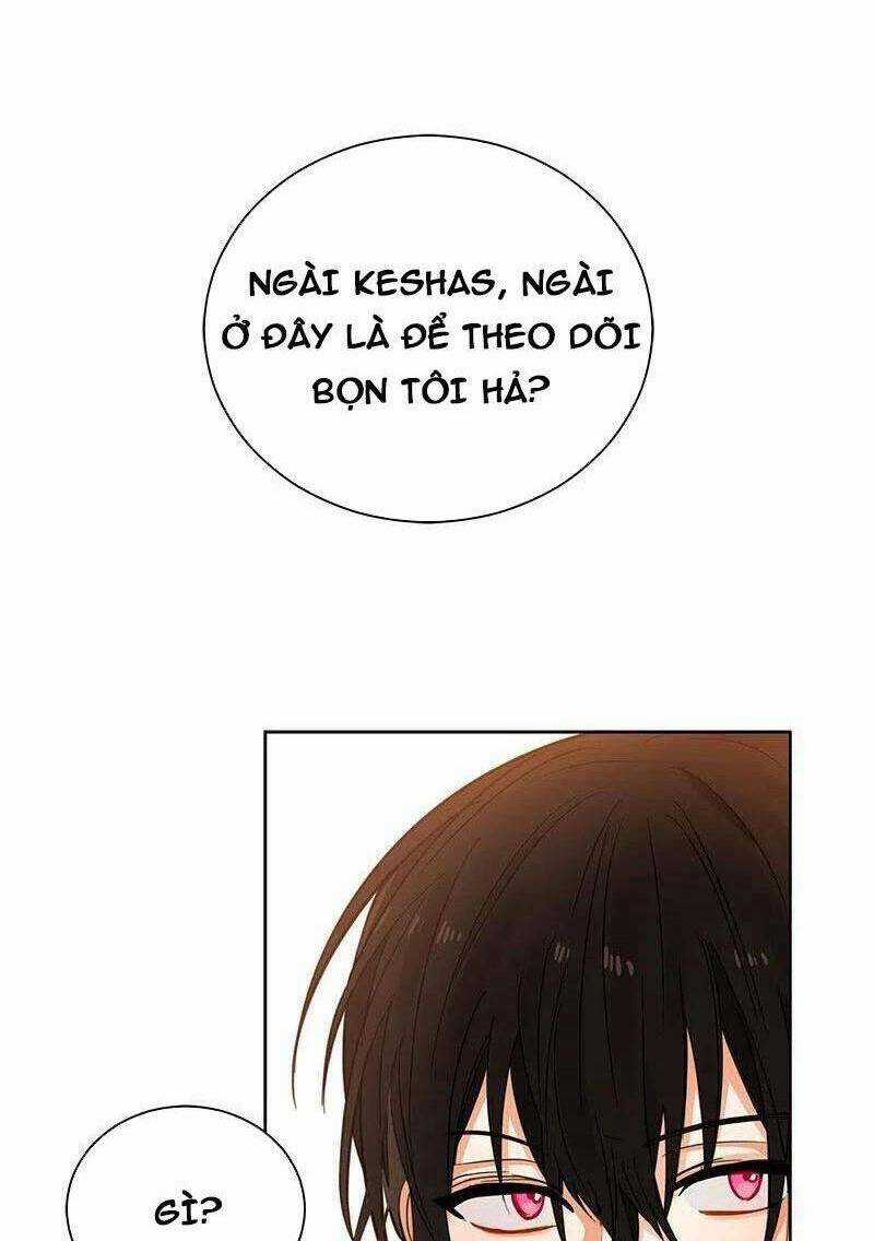 Huyết Nghiệp Kị Sĩ Chuyển Sinh Chapter 78 trang 3