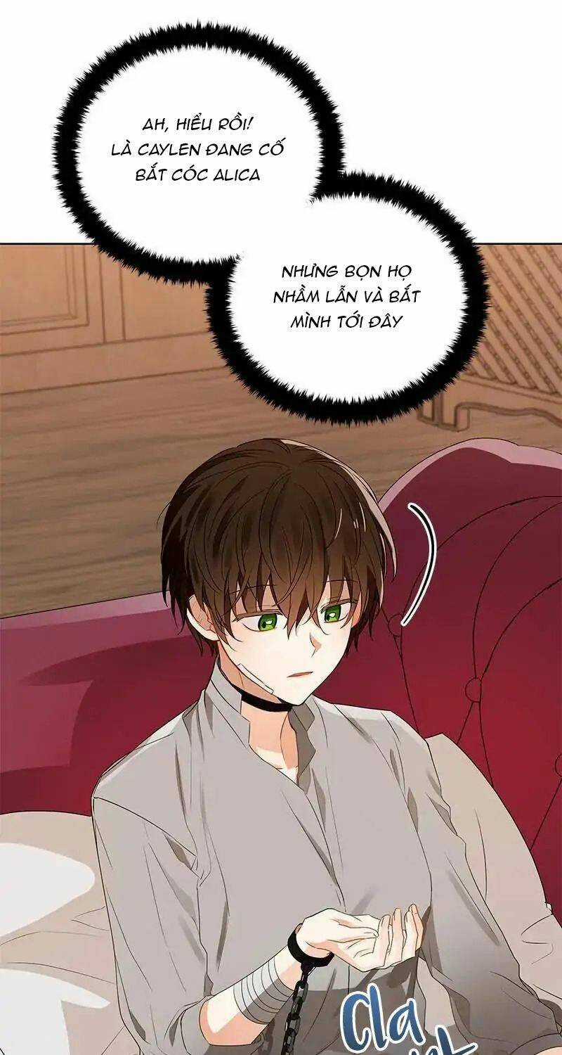 Huyết Nghiệp Kị Sĩ Chuyển Sinh Chapter 87 trang 52