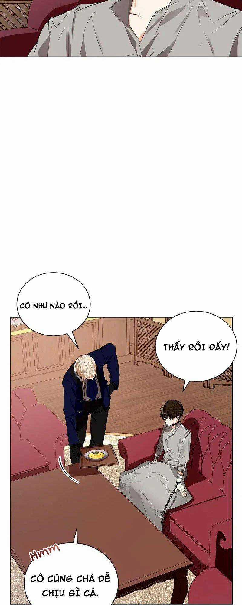 Huyết Nghiệp Kị Sĩ Chuyển Sinh Chapter 88 trang 3