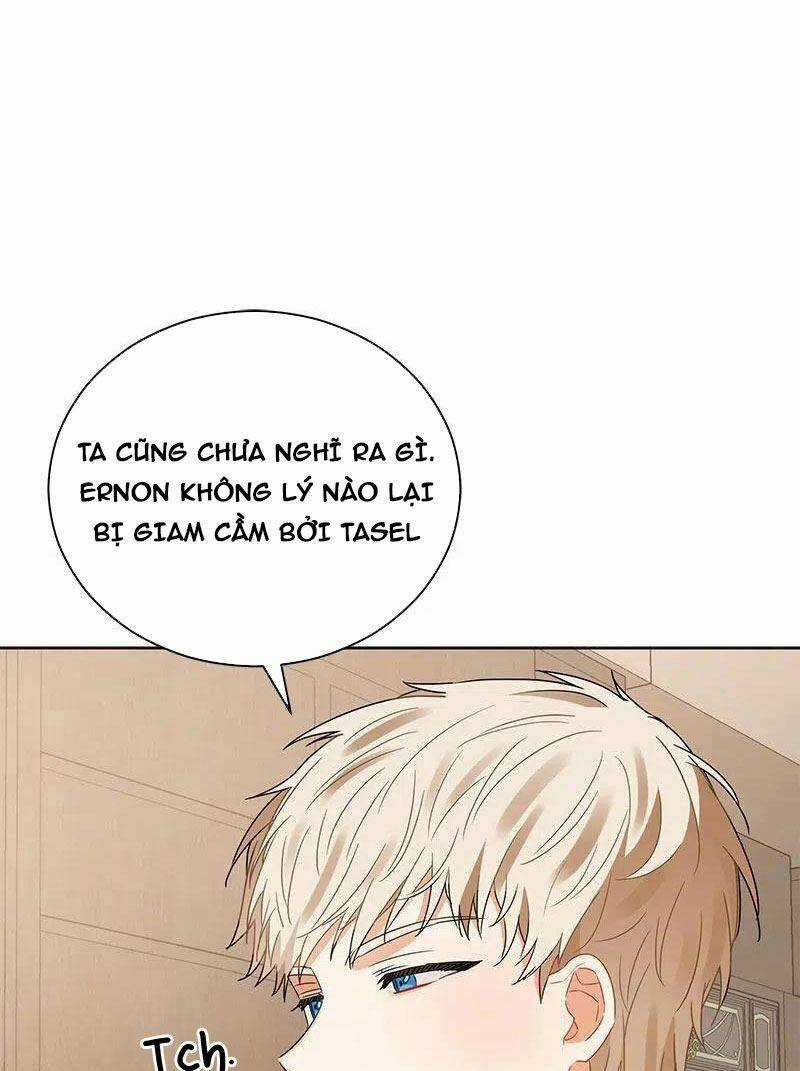 Huyết Nghiệp Kị Sĩ Chuyển Sinh Chapter 88 trang 37