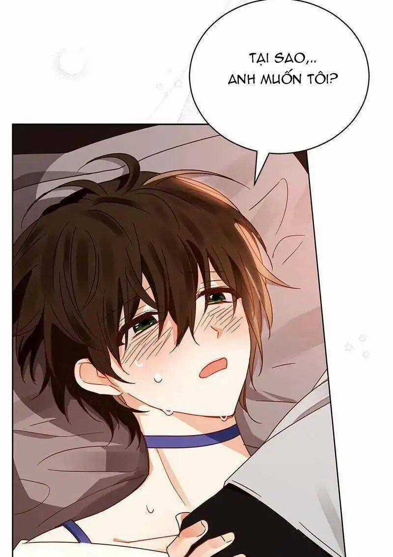 Huyết Nghiệp Kị Sĩ Chuyển Sinh Chapter 89 trang 72