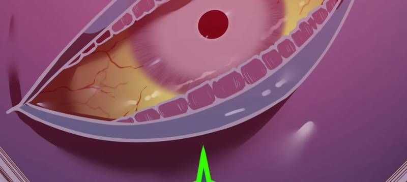 Huyết Thánh Cứu Thế Chủ~ Ta Chỉ Cần 0.0000001% Đã Trở Thành Vô Địch Chapter 88 trang 262