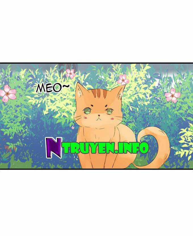 Huyết Tộc Đáng Yêu Chapter 16 trang 45