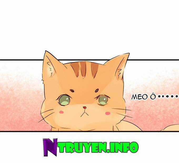 Huyết Tộc Đáng Yêu Chapter 16 trang 47