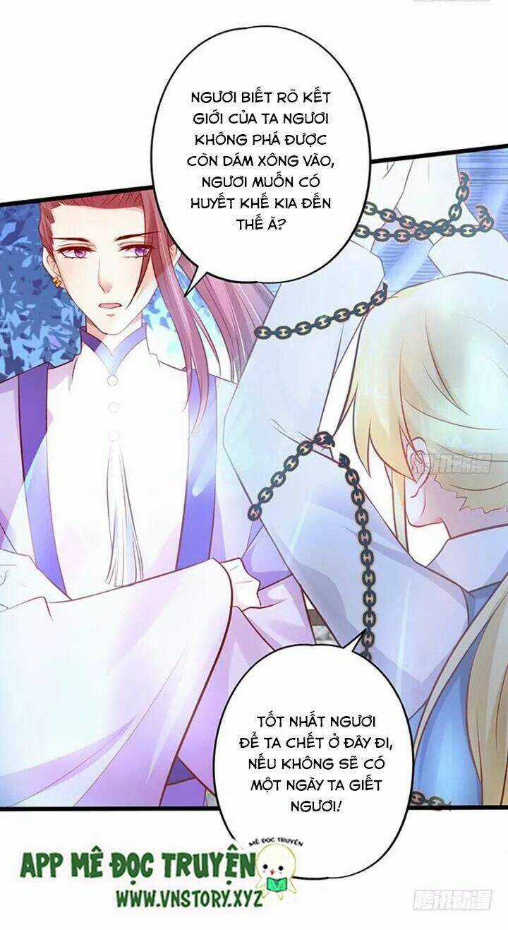 Huyết Tộc Đáng Yêu Chapter 164 trang 15