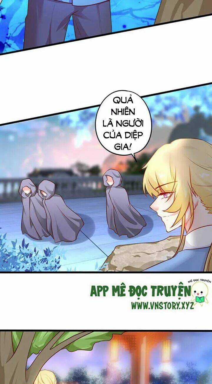 Huyết Tộc Đáng Yêu Chapter 168 trang 17