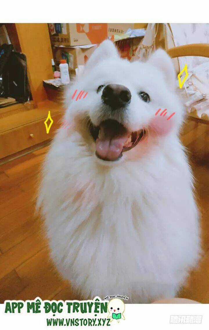 Huyết Tộc Đáng Yêu Chapter 175 trang 60