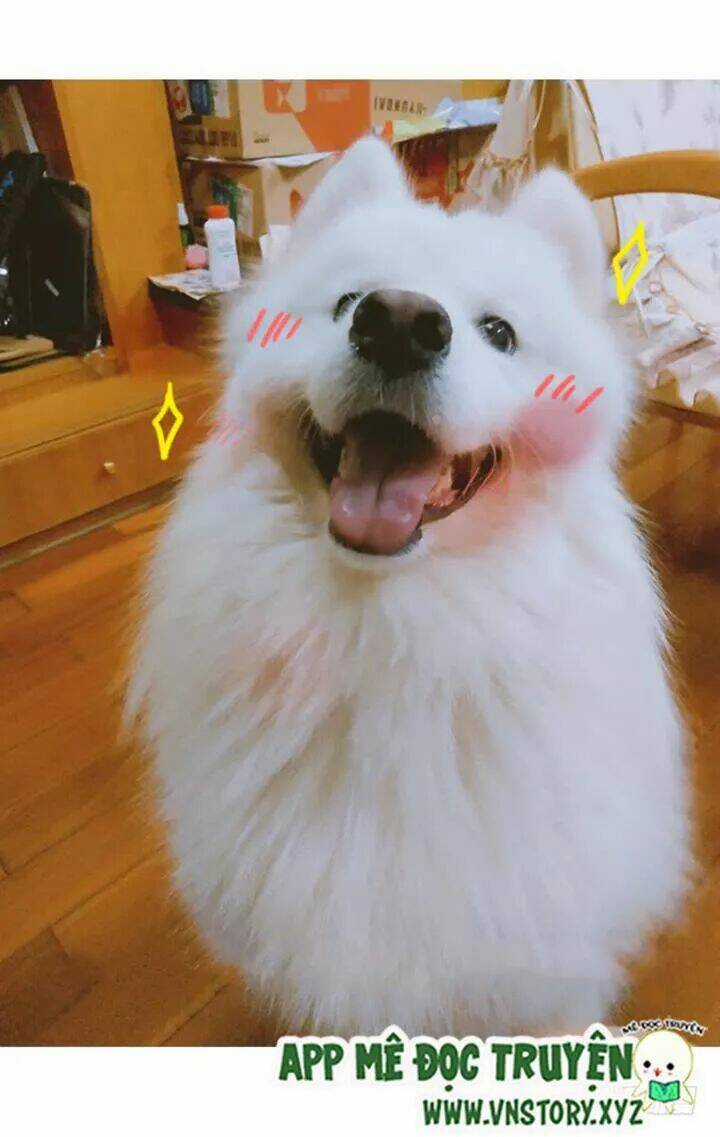 Huyết Tộc Đáng Yêu Chapter 179 trang 62