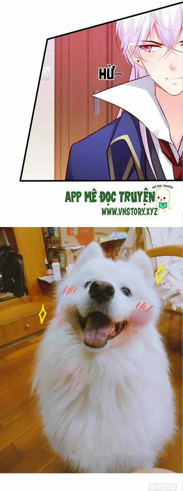 Huyết Tộc Đáng Yêu Chapter 184 trang 45