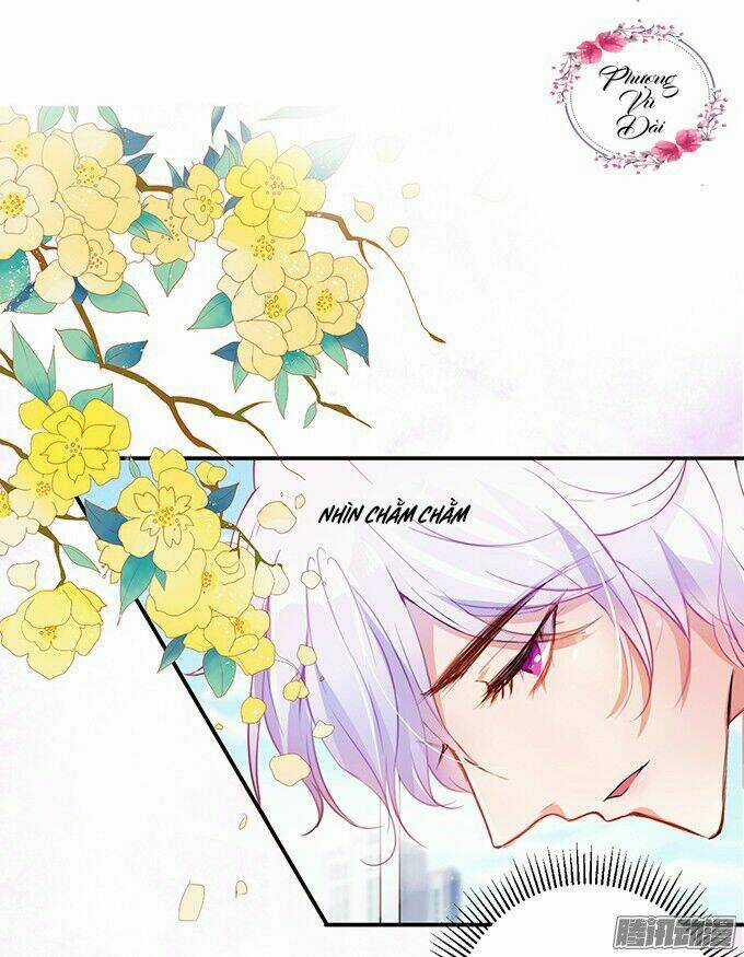 Huyết Tộc Đáng Yêu Chapter 3 trang 2