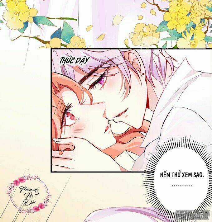 Huyết Tộc Đáng Yêu Chapter 3 trang 4