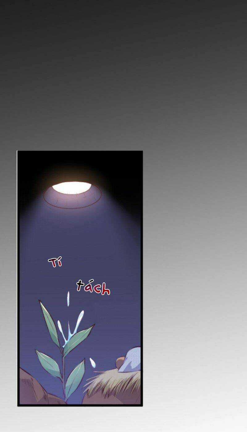 Huyết Tộc Điện Hạ Xin Đừng Cắn Tôi Chapter 11 trang 9