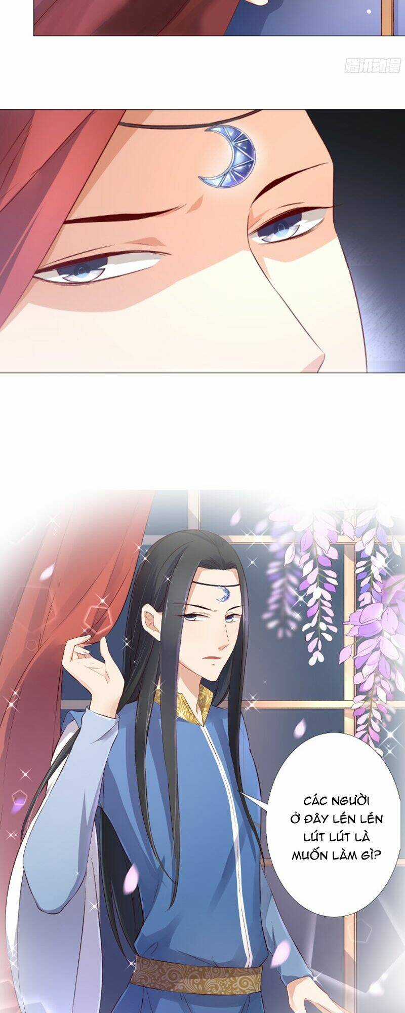 Huyết Tộc Điện Hạ Xin Đừng Cắn Tôi Chapter 23 trang 5