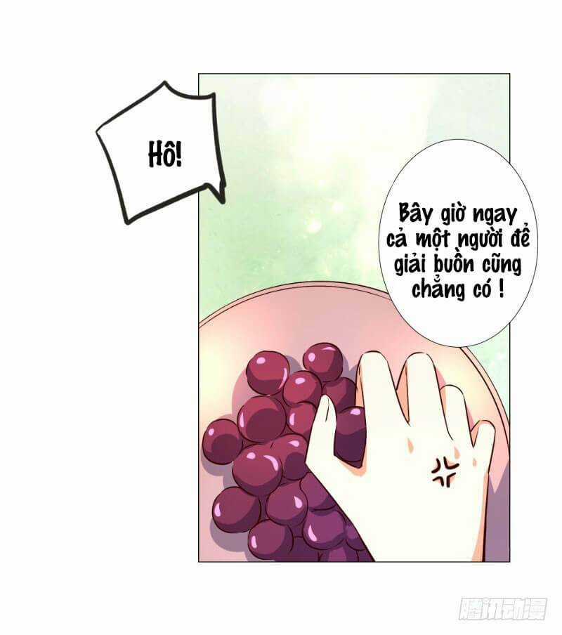 Huyết Tộc Điện Hạ Xin Đừng Cắn Tôi Chapter 46 trang 13