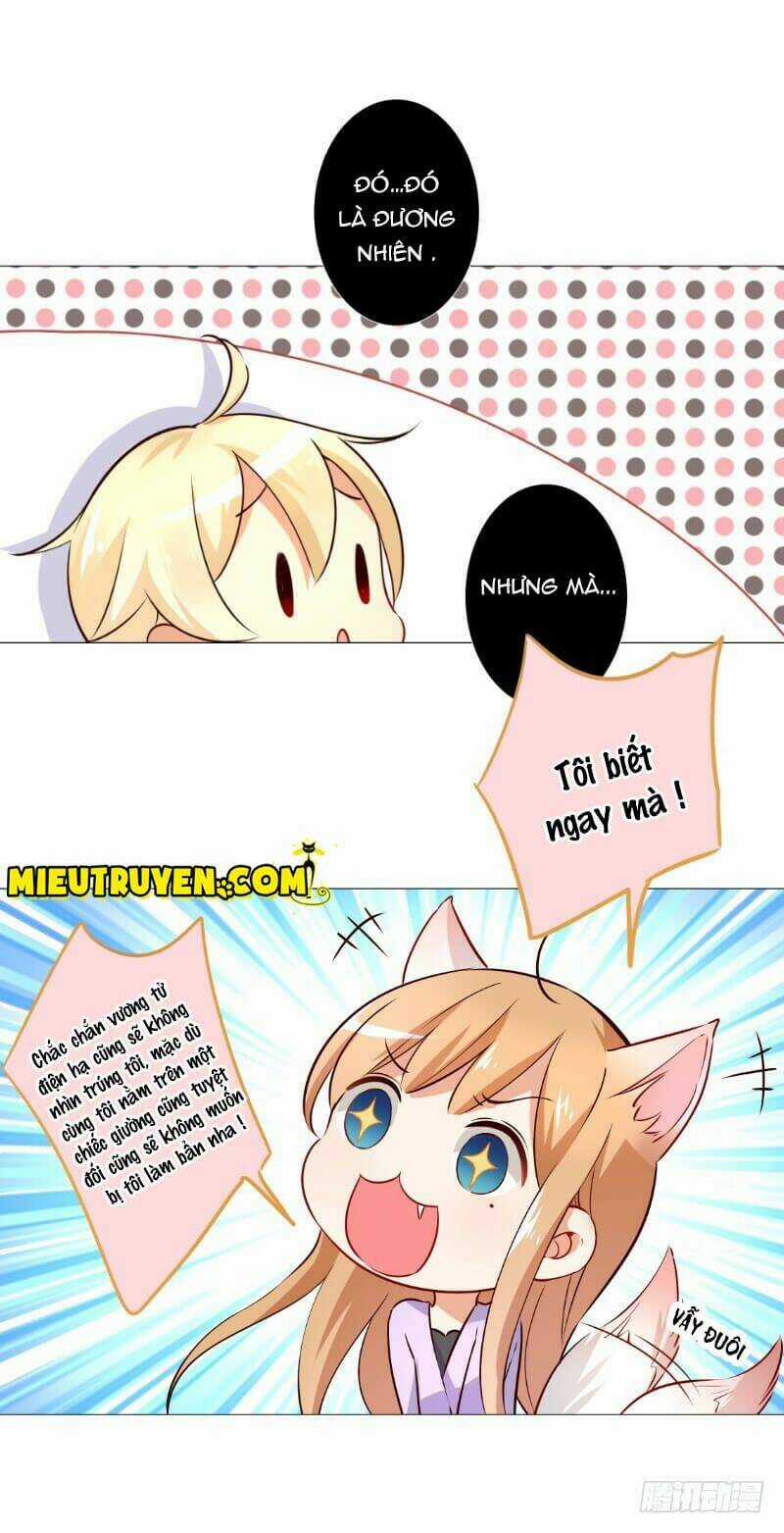 Huyết Tộc Điện Hạ Xin Đừng Cắn Tôi Chapter 52 trang 31