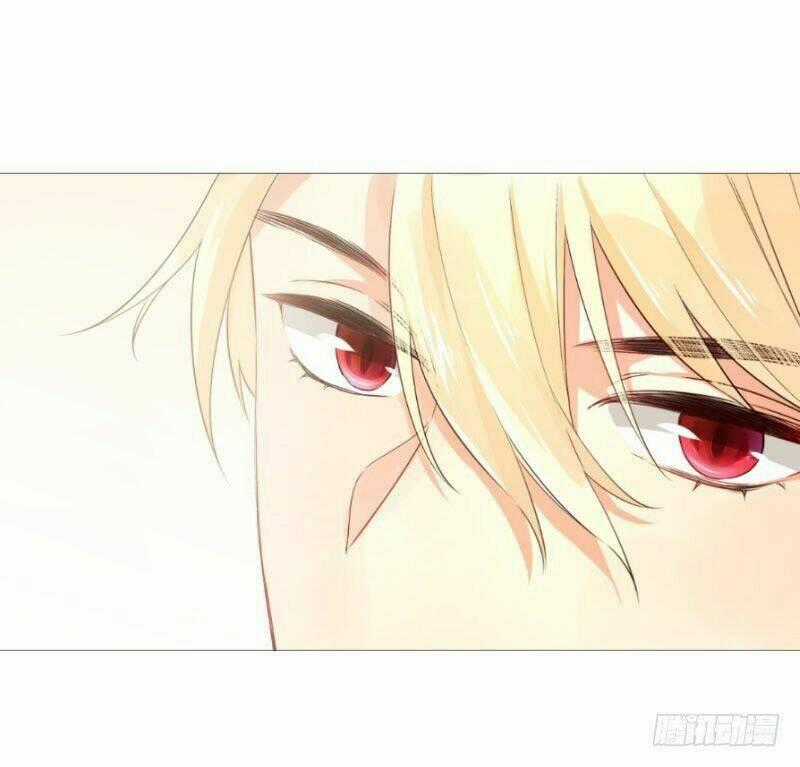 Huyết Tộc Điện Hạ Xin Đừng Cắn Tôi Chapter 53 trang 31