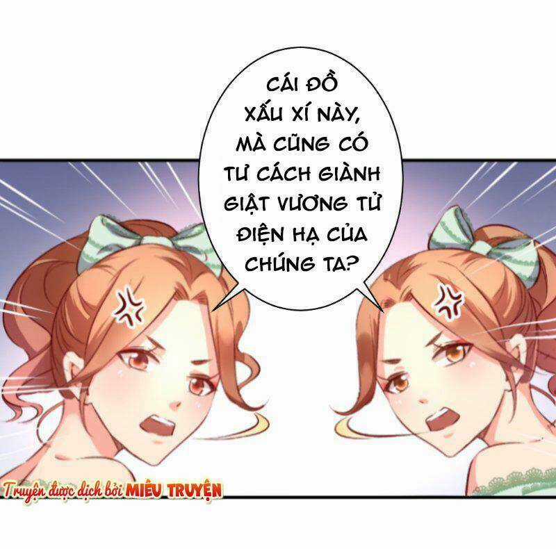 Huyết Tộc Điện Hạ Xin Đừng Cắn Tôi Chapter 7 trang 8