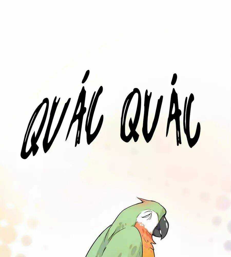 Huyết Túc Khế Ứớc Chapter 5 trang 16