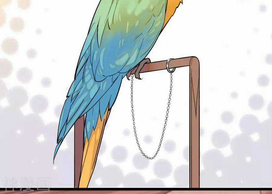 Huyết Túc Khế Ứớc Chapter 5 trang 17