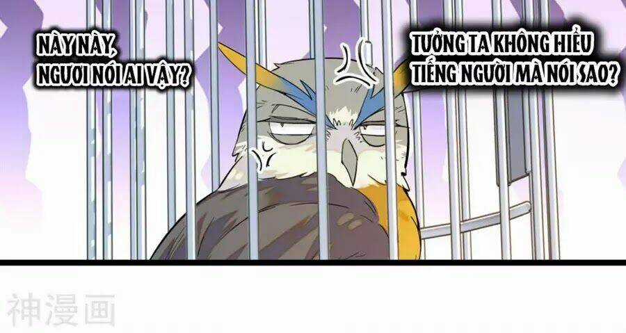 Huyết Túc Khế Ứớc Chapter 5 trang 52