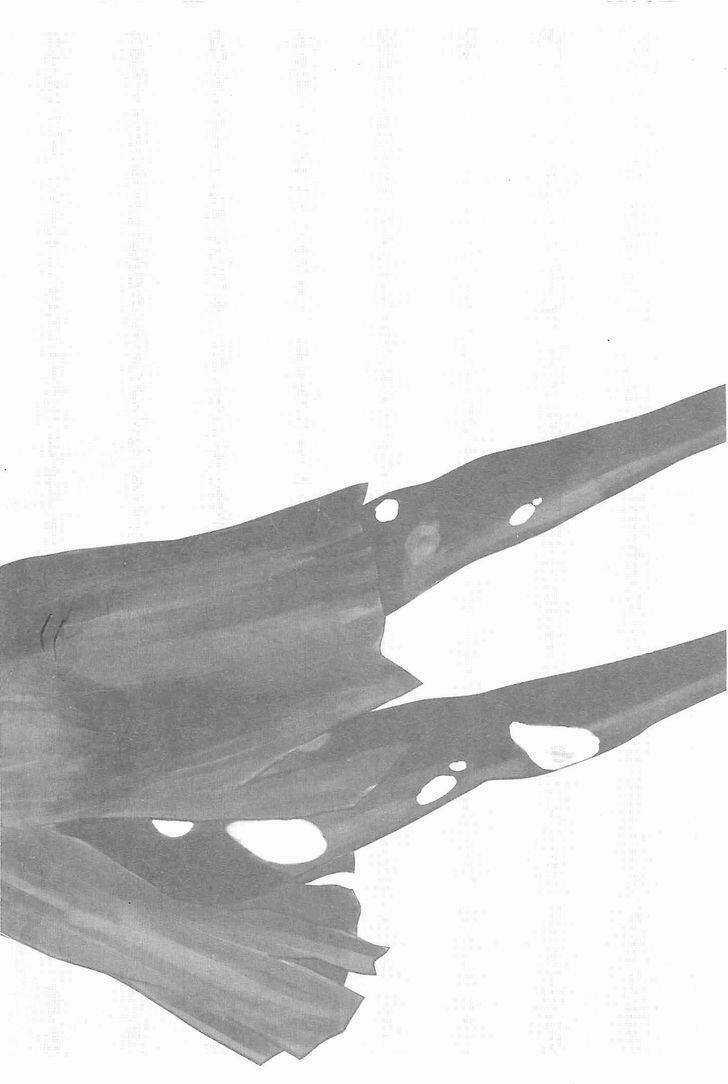 Hyouryuu Net Cafe Chapter 1 trang 3